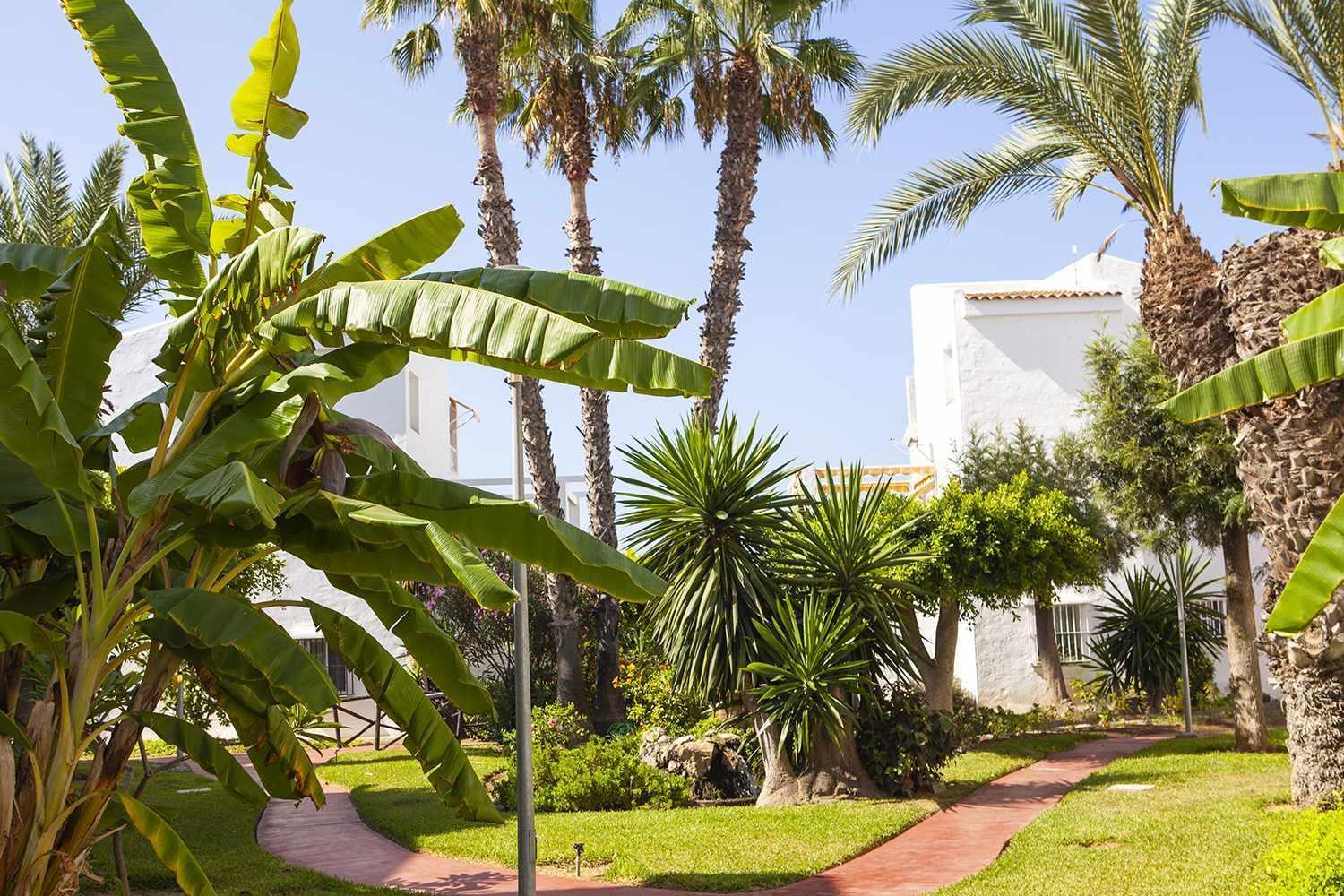 A 100M De Playa Piscina Y Todos Los Servicios Torrox Exterior foto